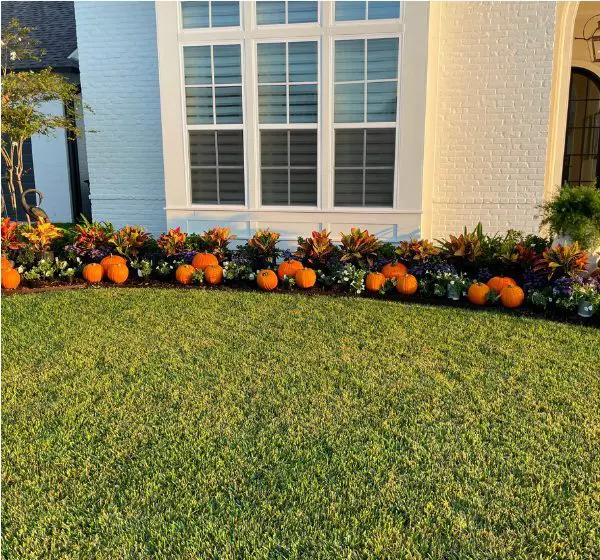 Landscaping Services