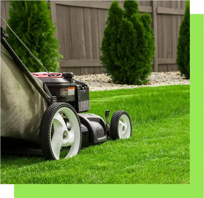 Lawn Maintenance