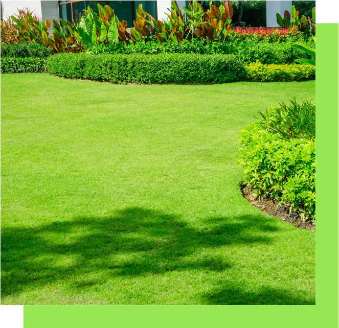 All Seasons Landscaping Lawncare