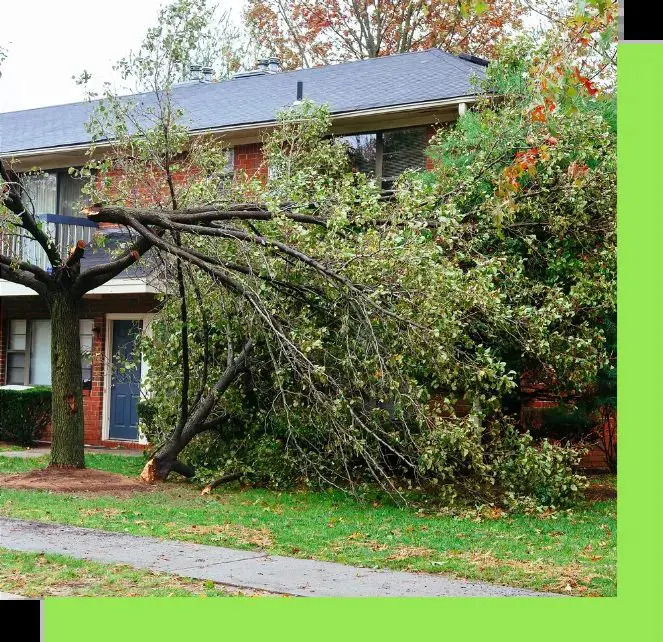 Storm Cleanup Services