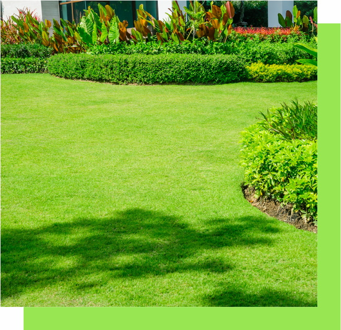 All Seasons Landscaping & Lawn Care