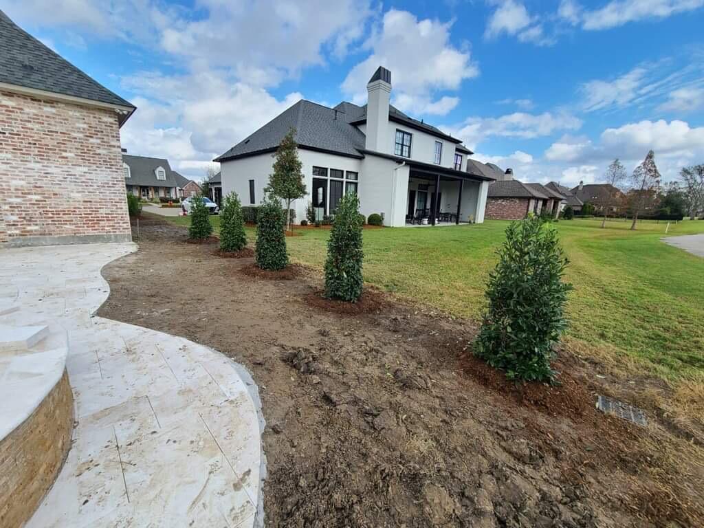 Tree Planting Services