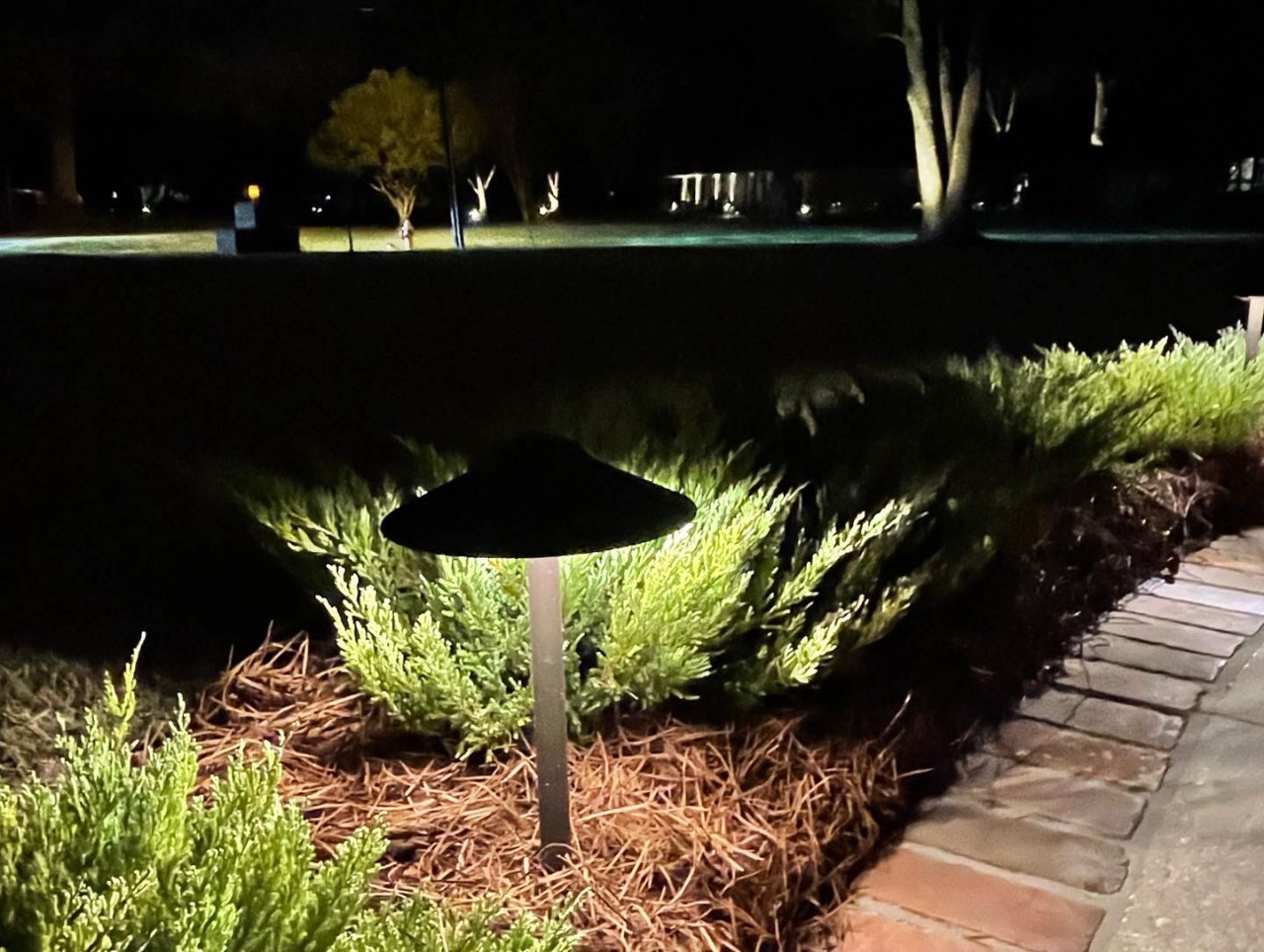 Patriot Low Voltage Led Landscape Lighting Shelly Lighting