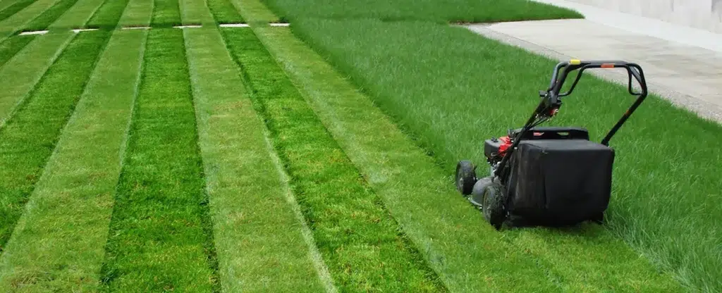 Landscaping & Lawn Care company