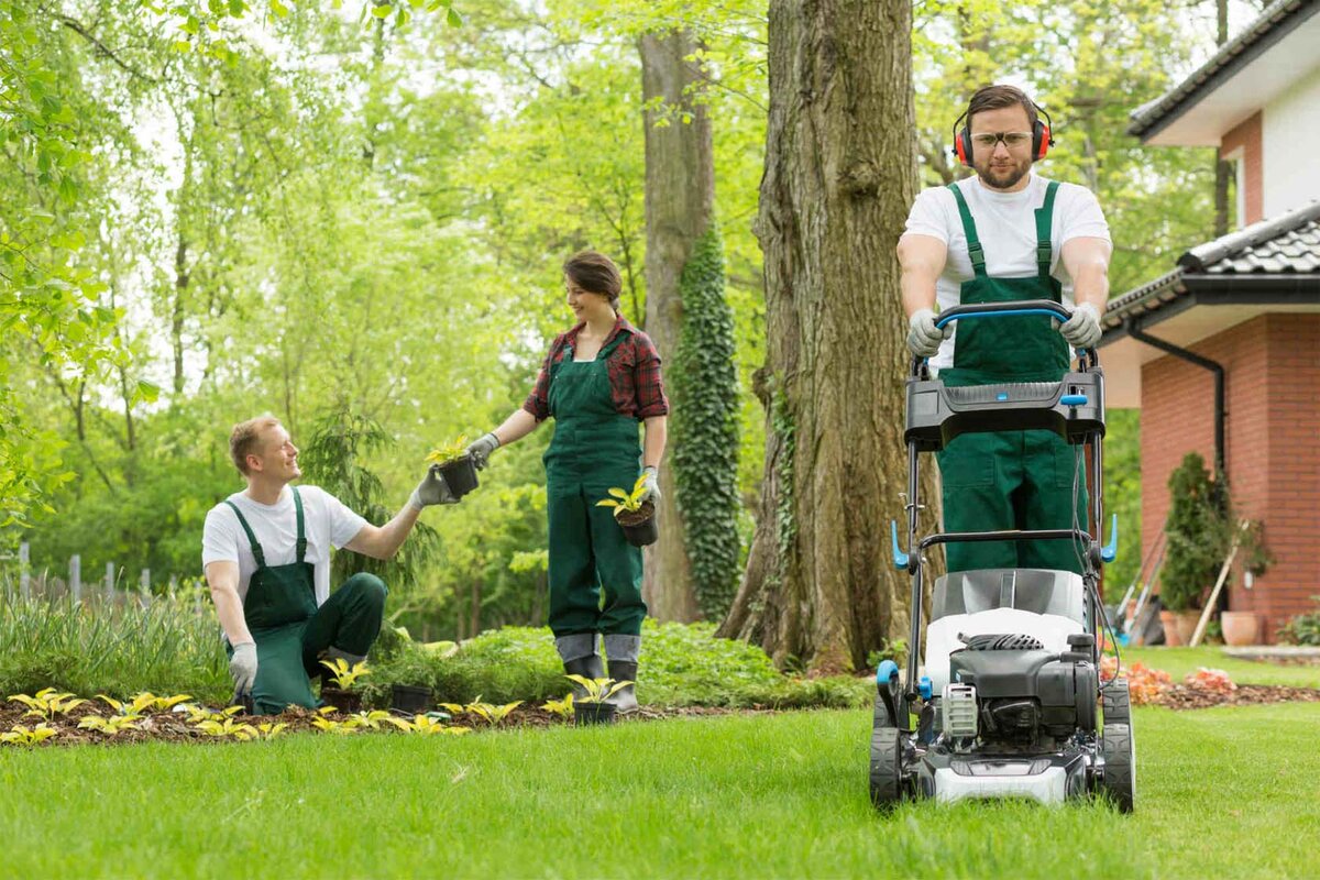Lawn Care Matters