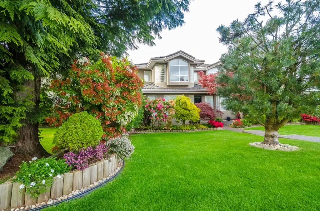 Essential Tips for Maintaining Healthy Trees in Oak Hills, LA