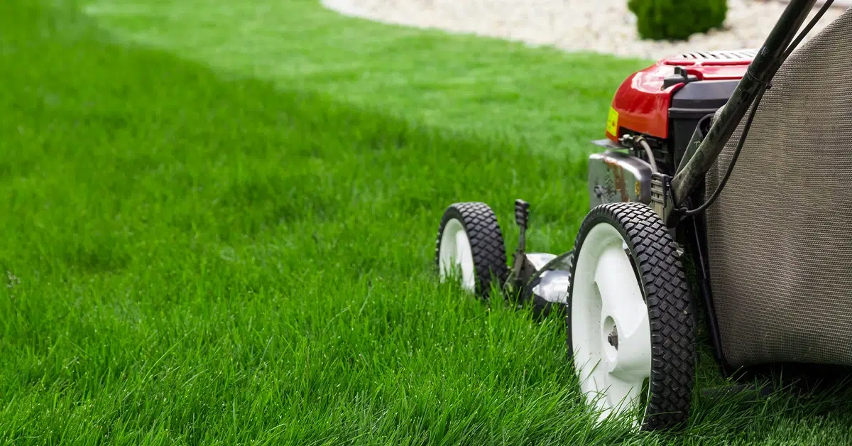 How Can Regular Lawn Maintenance Improve Your Home’s Curb Appeal in Baker, LA?