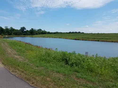 Brusly Walking Trail Park