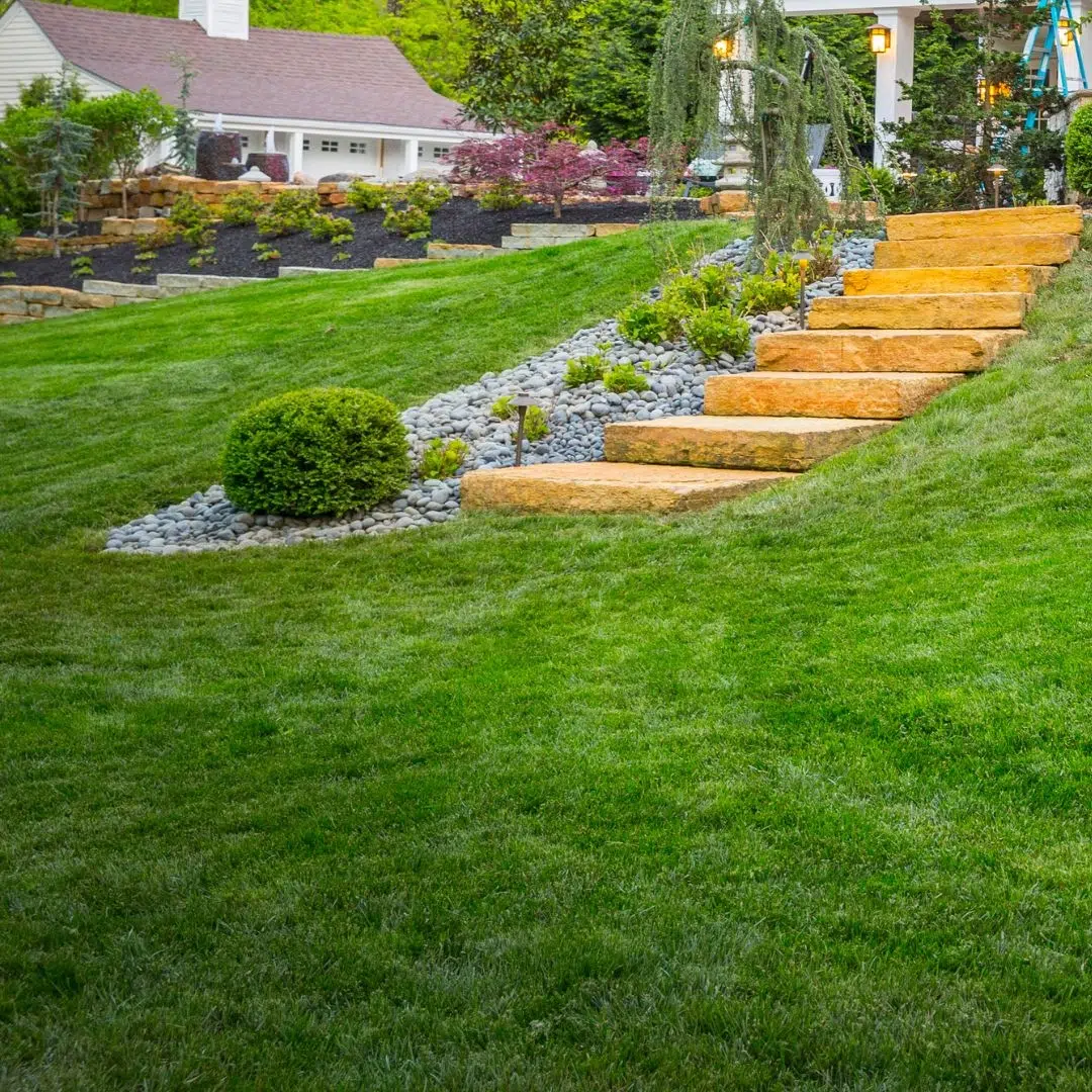 Leading Landscaping Contractor in Plaquemine, LA Leading Landscaping Contractor in Plaquemine, LA
