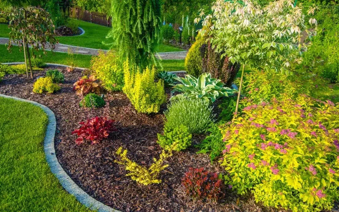 Landscaping and Lawn Care Company in Ascension Parish