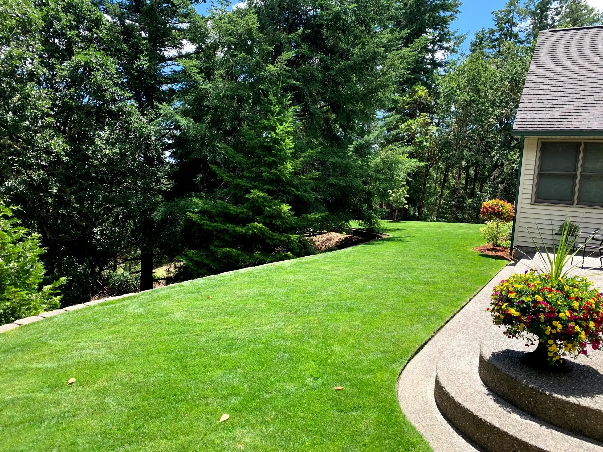 Top Landscaping and Lawn Care Services in St. Gabriel, LA