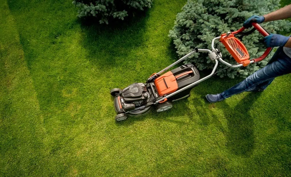 Top Landscaping and Lawn Care Services in St. Gabriel, LA
