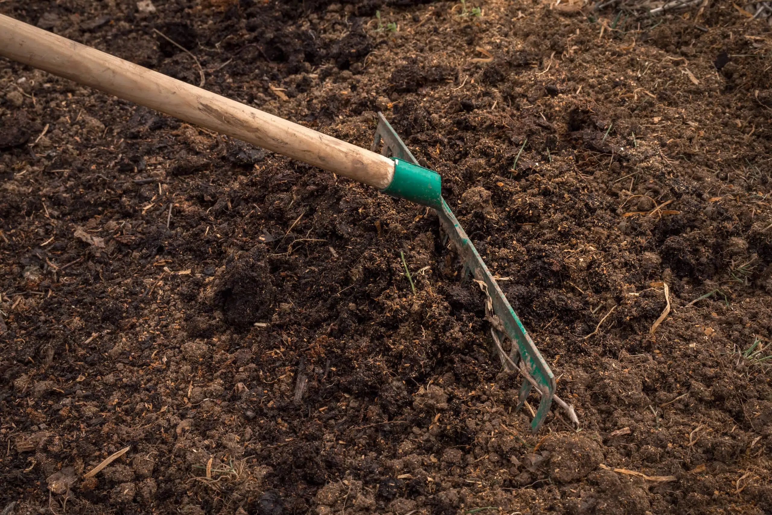 Why Is Soil Prep Vital Before Sod Installation?