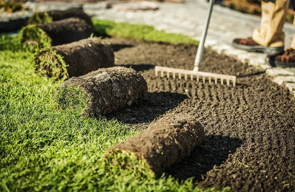 Why Is Proper Soil Preparation Essential Before Installing Sod