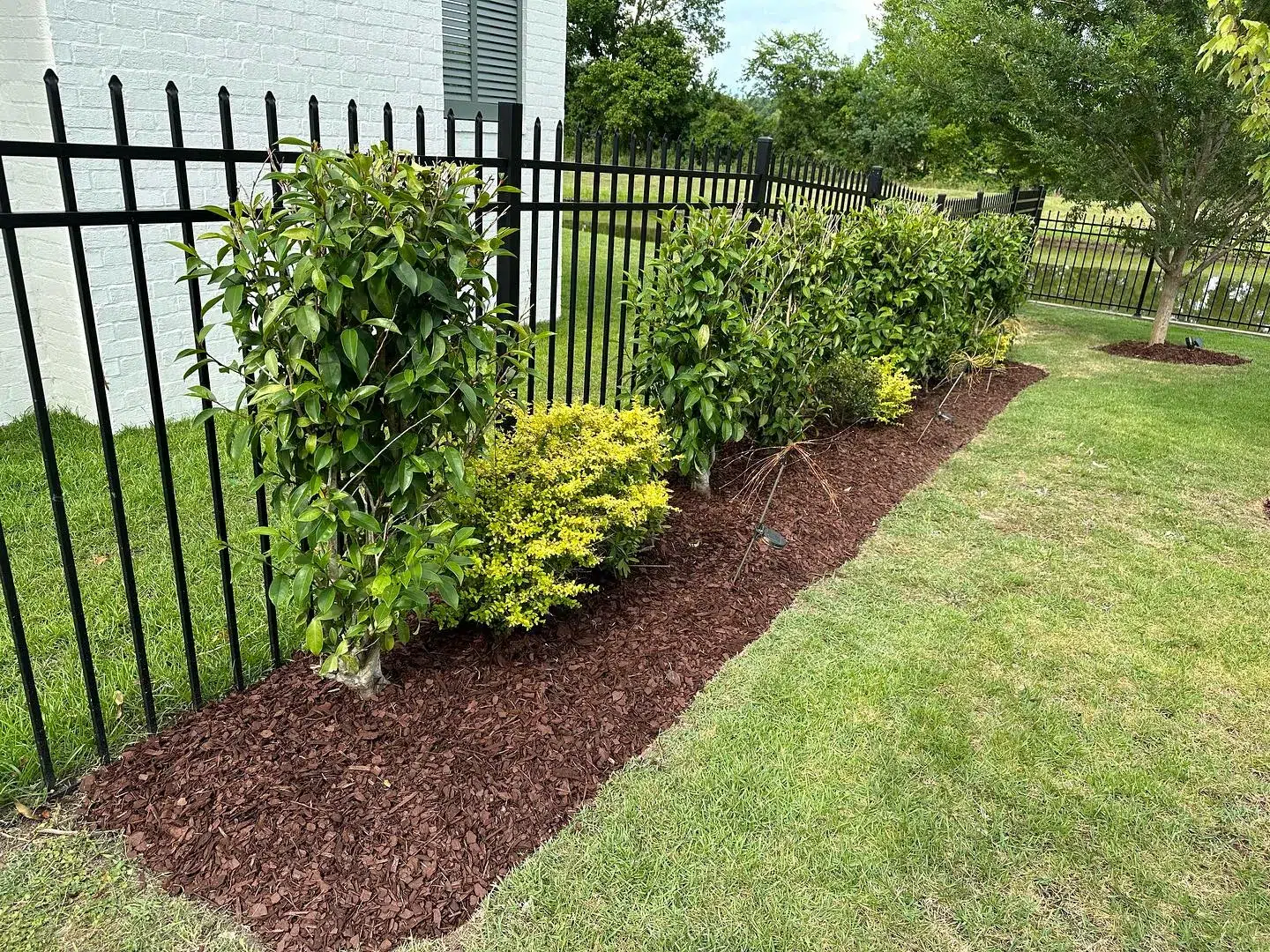 Tree Planting services 