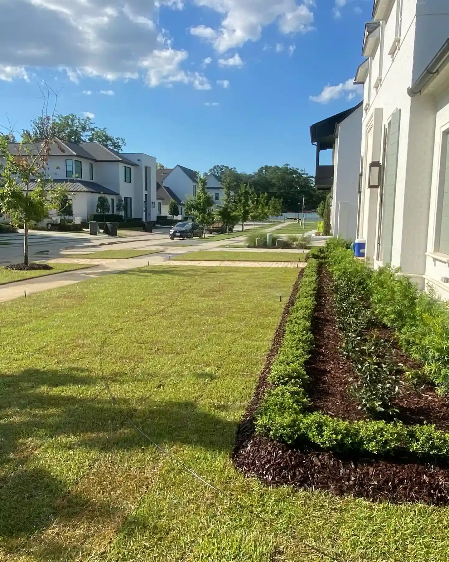 Expert Lawn Care & Maintenance in Tangipahoa Parish, LA