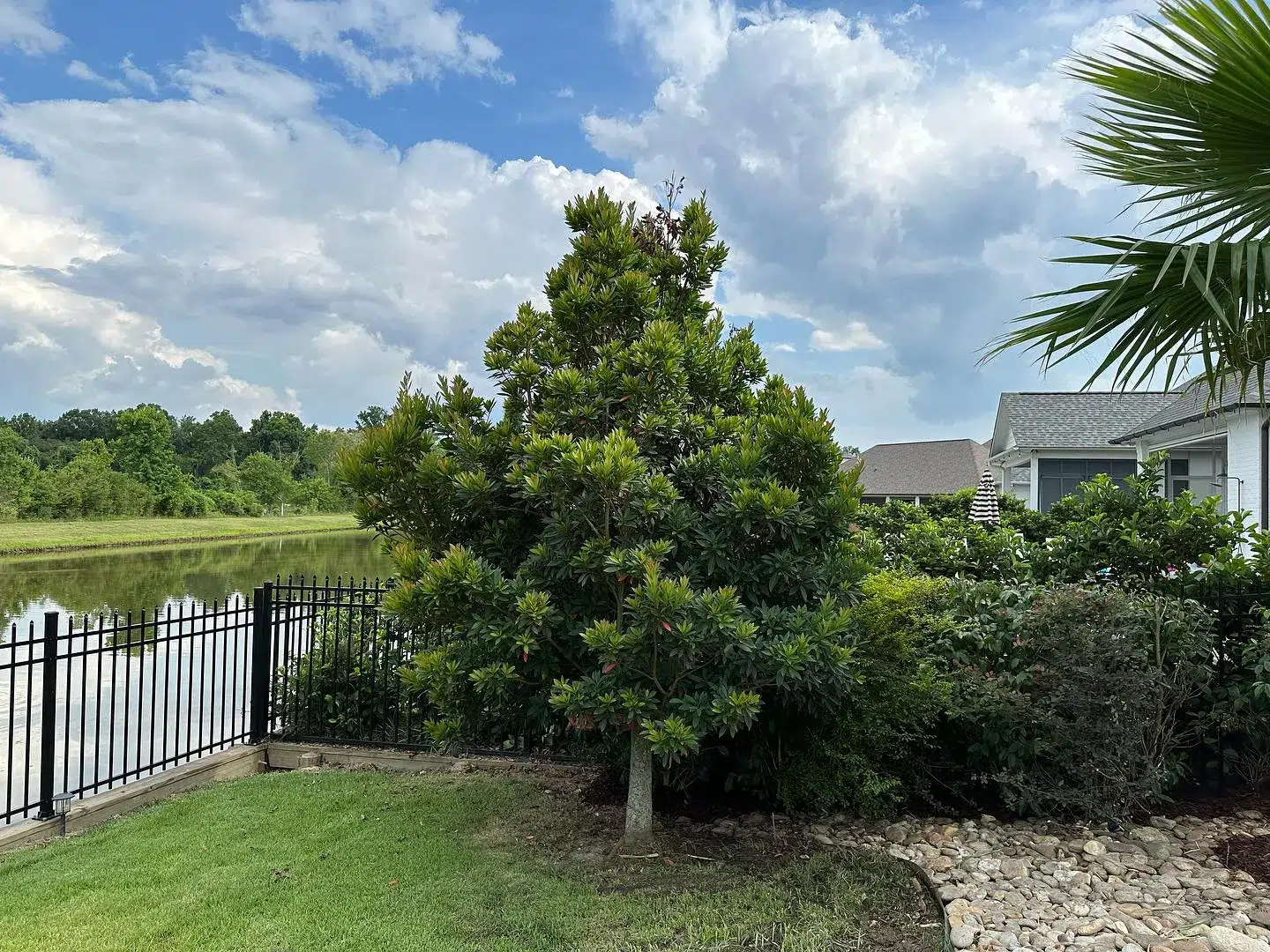 How to Maintain a Healthy Lawn in Tangipahoa Parish, LA Maintain a Healthy Lawn in Tangipahoa Parish, LA