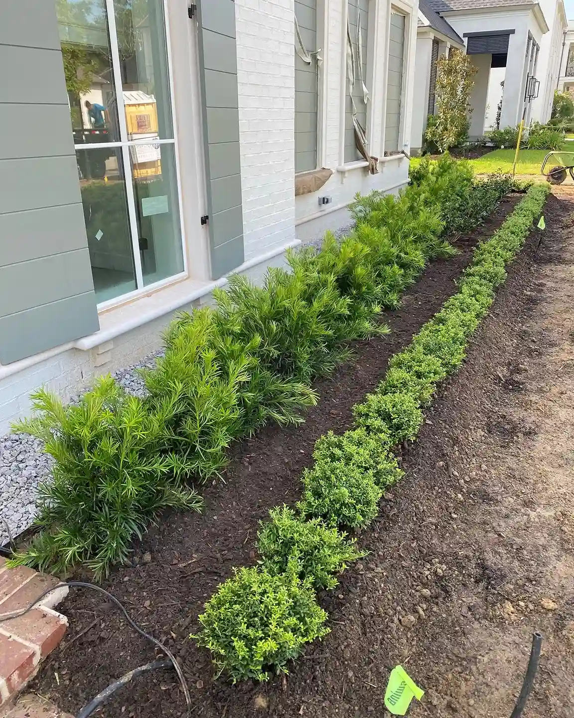 Lawn Maintenance Experts in Livingston Parish, LA