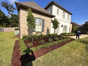lawn care services lawn care services