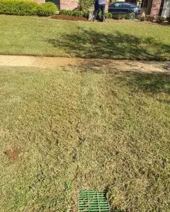 Lawn care service 