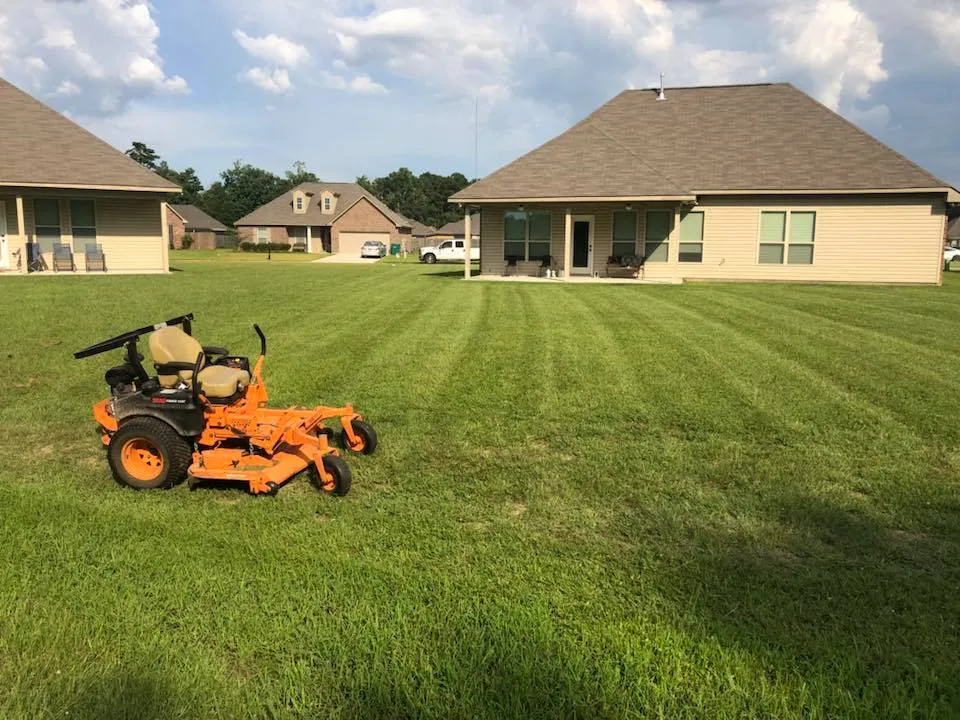 How Often Should You Mow Your Lawn in Summer
