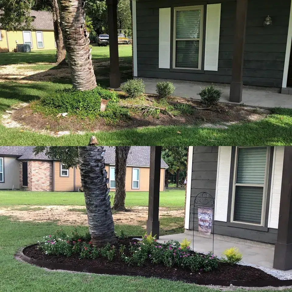 What New Orleans Homeowners Should Know About Lawn Maintenance What New Orleans Homeowners Should Know About Lawn Maintenance