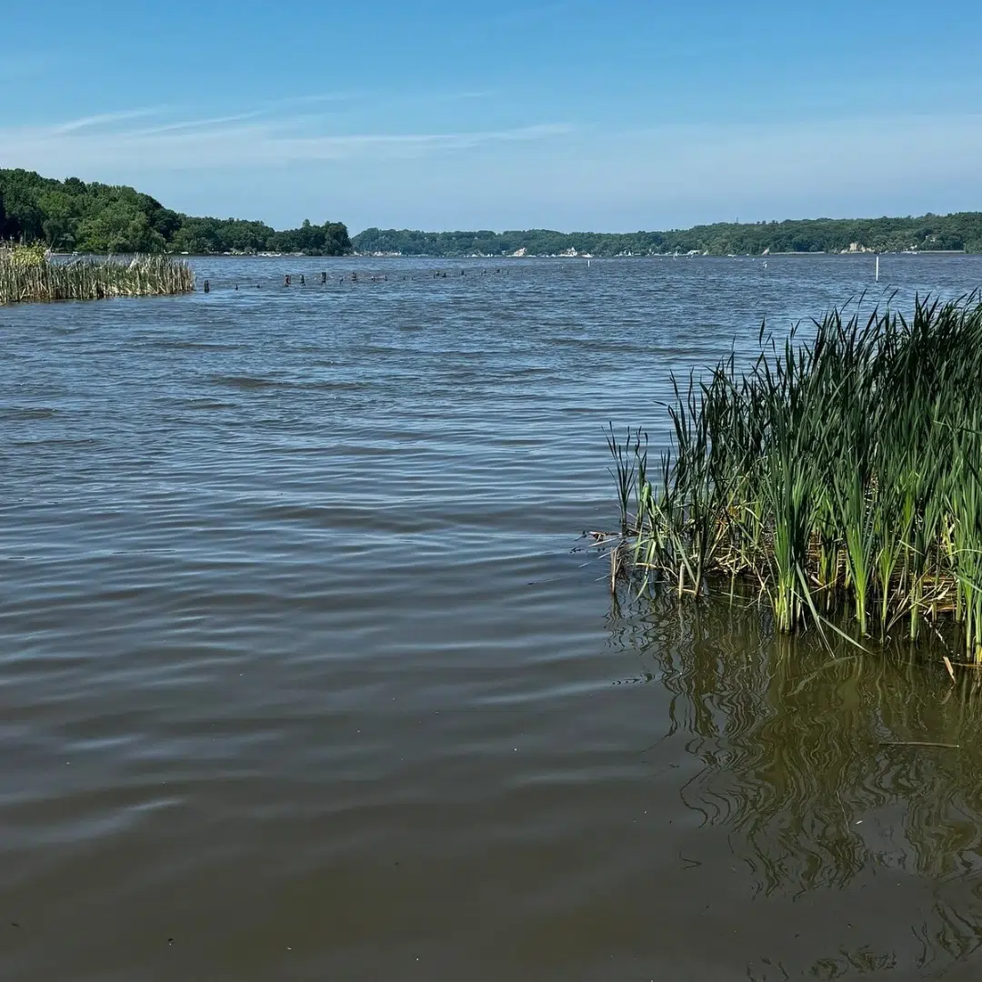 LaSalle's Landing