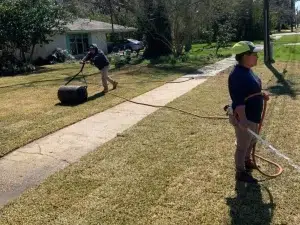 Damaged Grass Damaged Grass