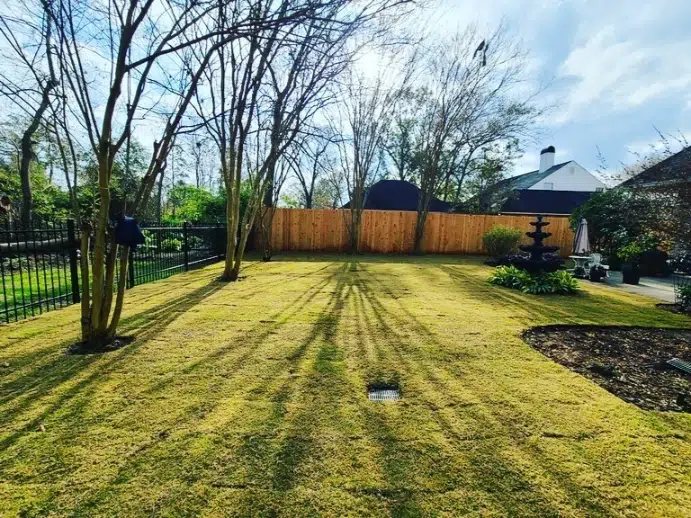 Expert Landscaping & Lawn Care Contractor in Hammond, LA