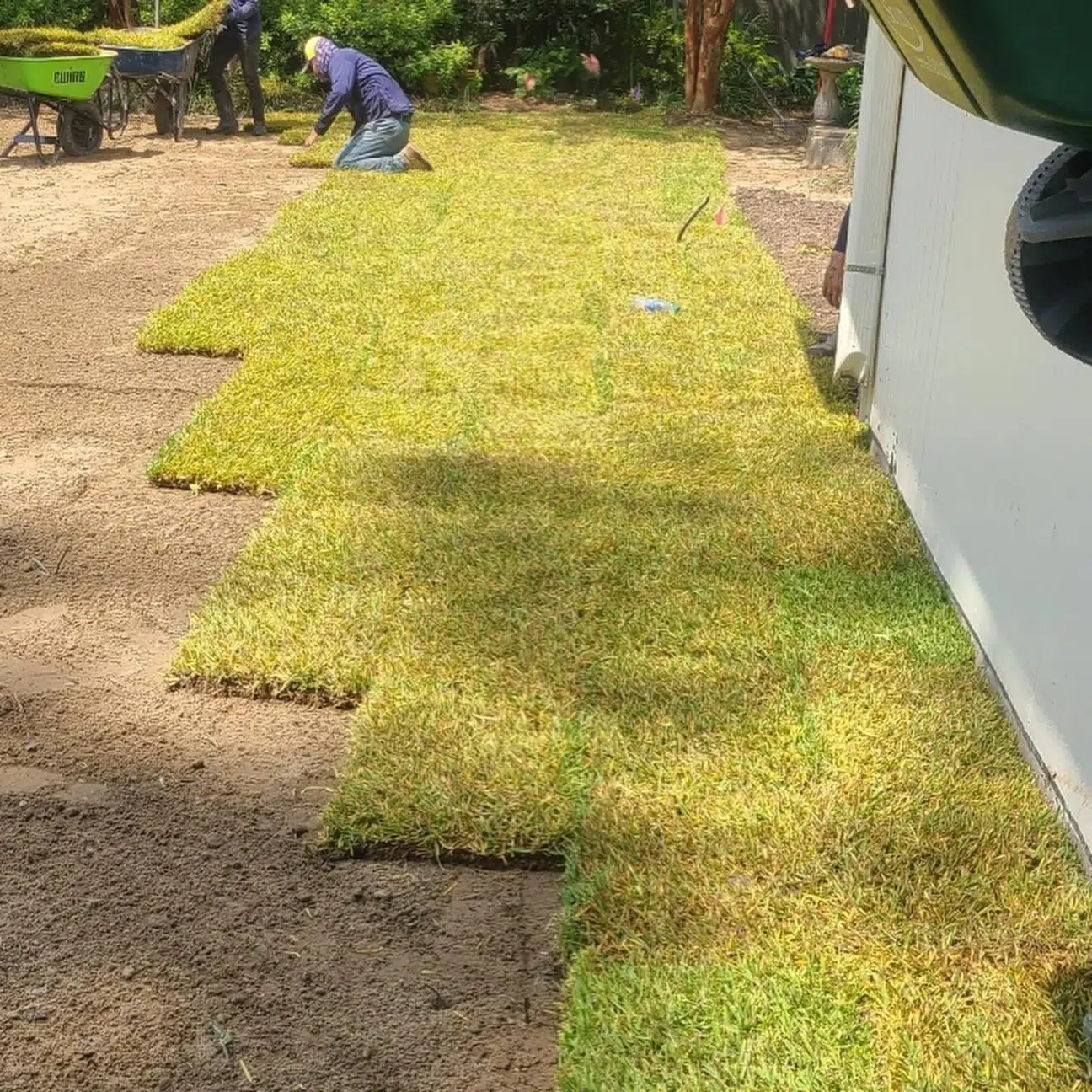 Expert Landscaping & Lawn Care Contractor in Hammond, LA