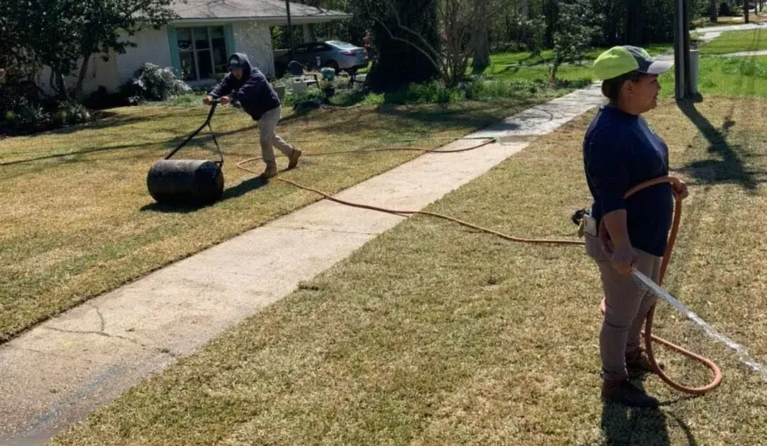 Things to Consider Before Making a Decision Why Lawn Care Should Never Be Ignored During Seasonal Transitions