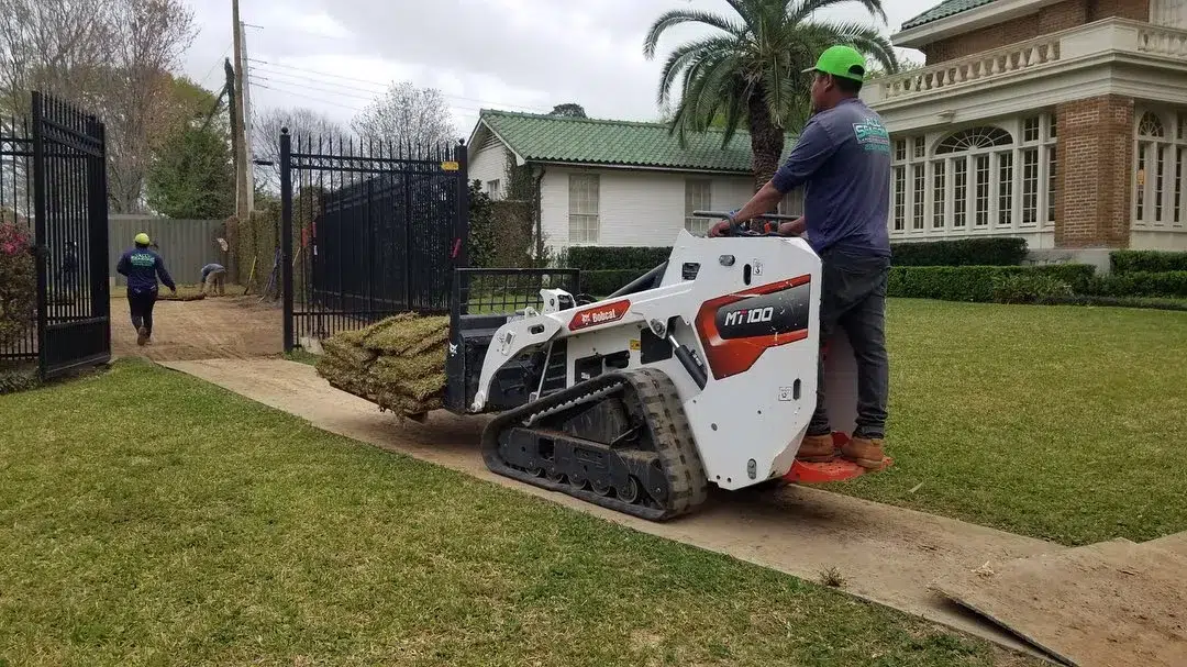 10 Lawn Care Mistakes That Most Homeowners Don&rsquo;t Realize