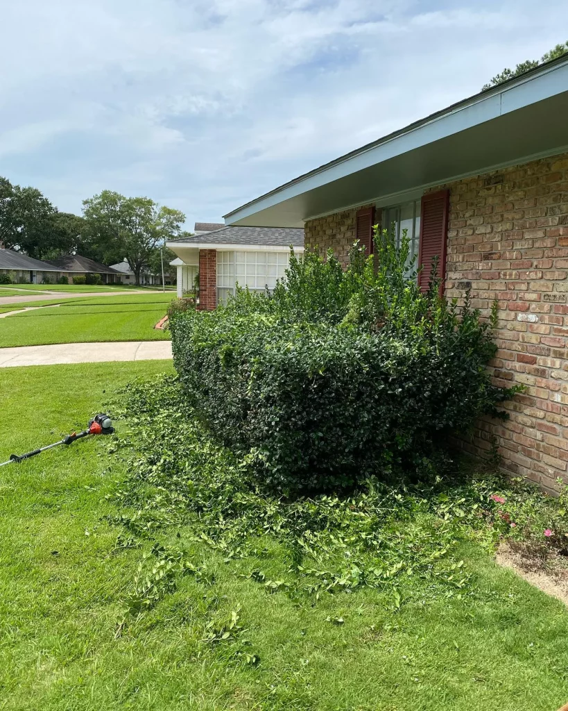 How Thoughtful Landscape Design Can Increase Your Home's Value