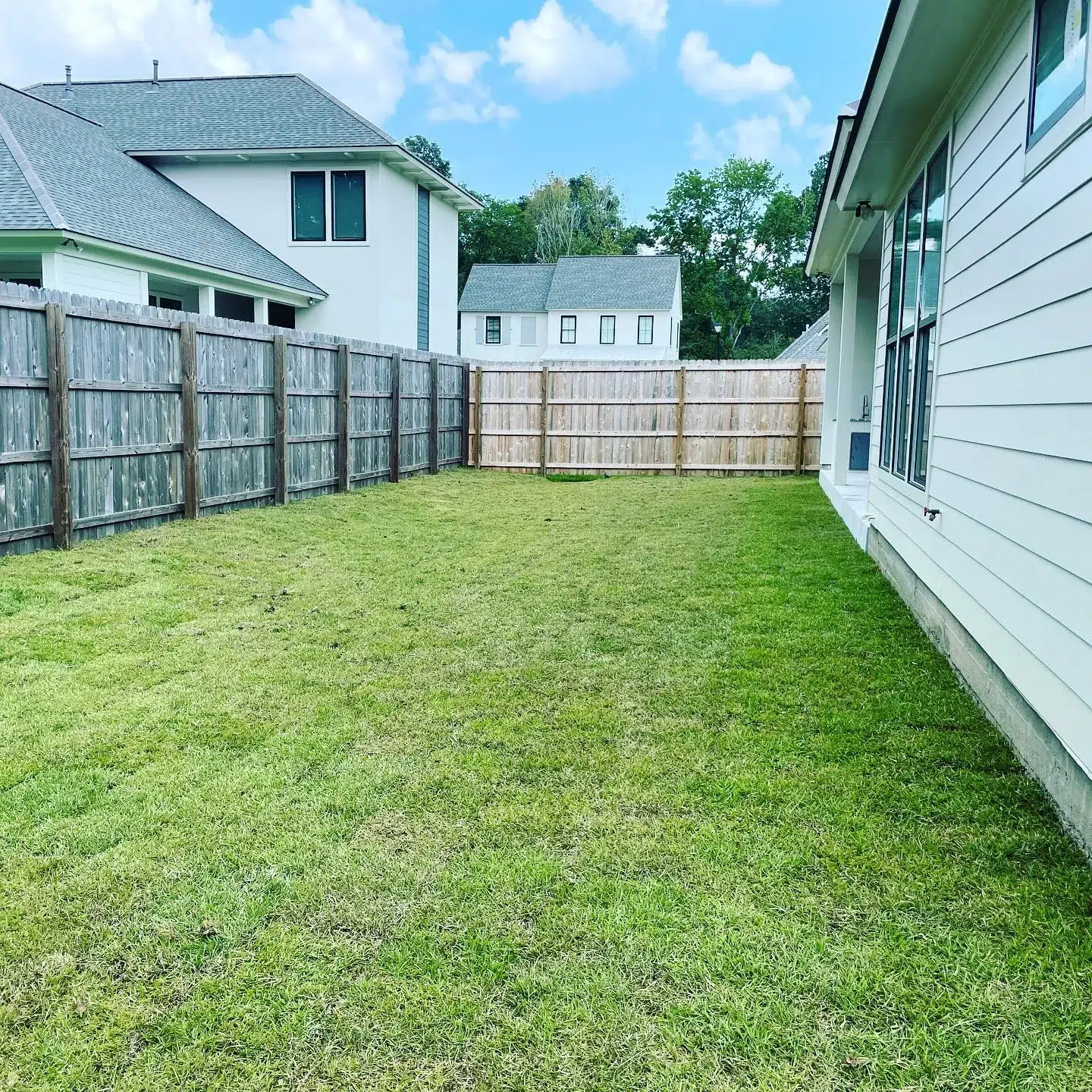 5 Reasons Why Your Neighbor's Lawn Care Looks Better Than Yours 5 Reasons Why Your Neighbor's Lawn Care Looks Better Than Yours