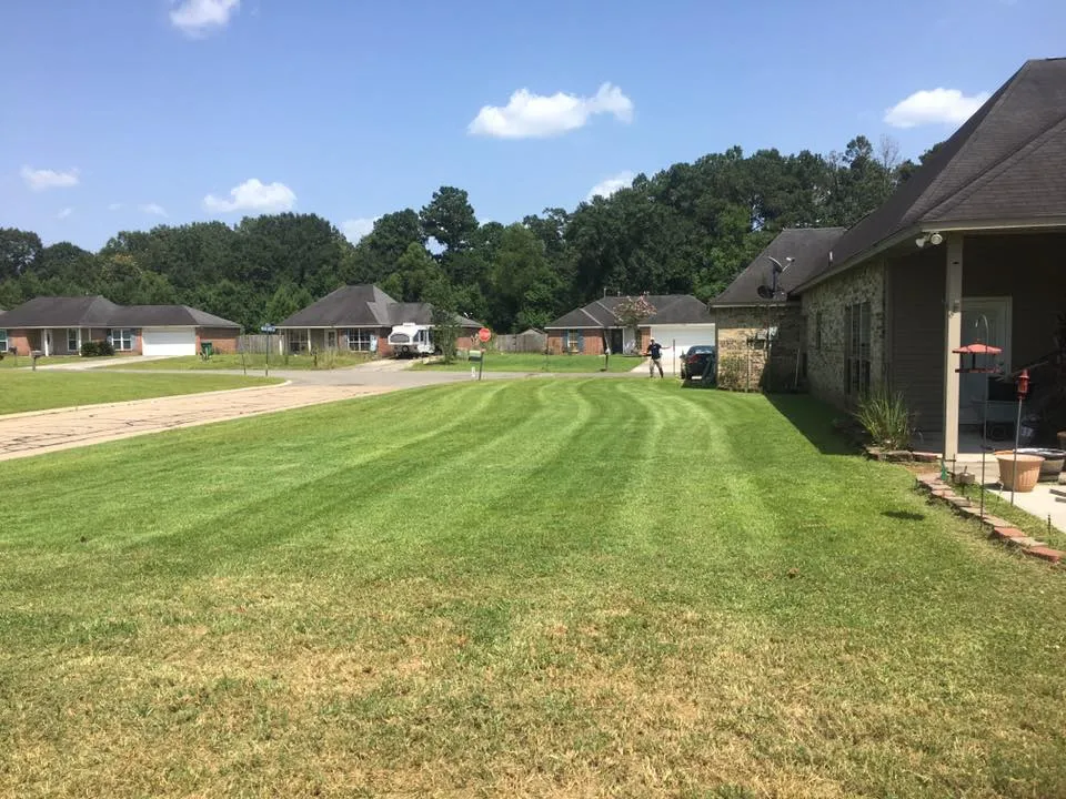 5 reasons why your neighbor's lawn care looks better than yours_ 5 Reasons Why Your Neighbor's Lawn Care Looks Better Than Yours