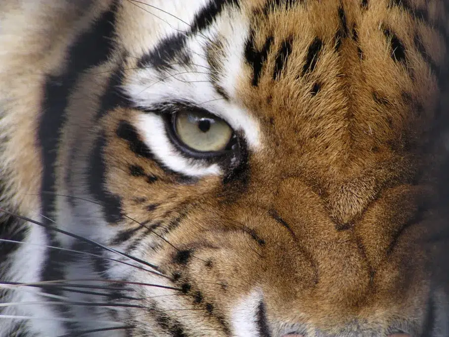Baton Rouge Zoo