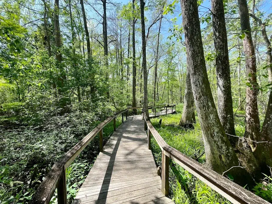Bluebonnet Swamp Nature Center