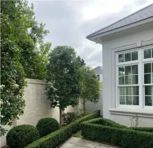 Hedge Trimming Services
