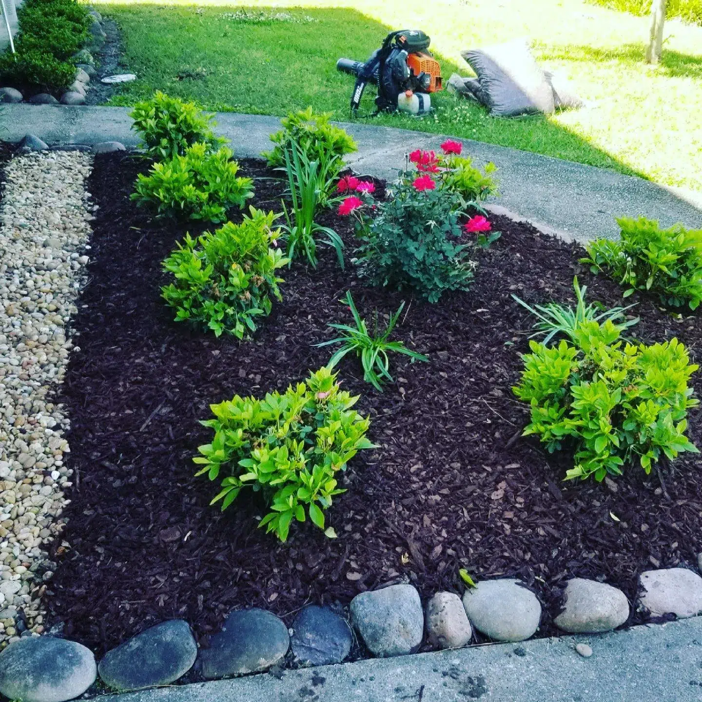 Mulching Services