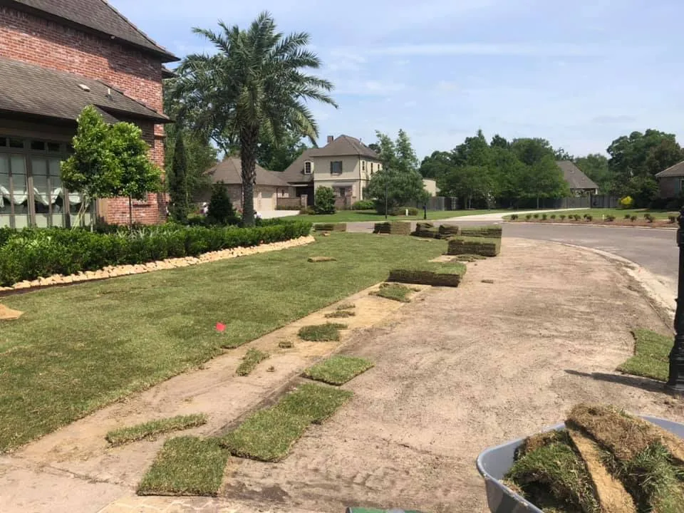 Sod Installation Repair