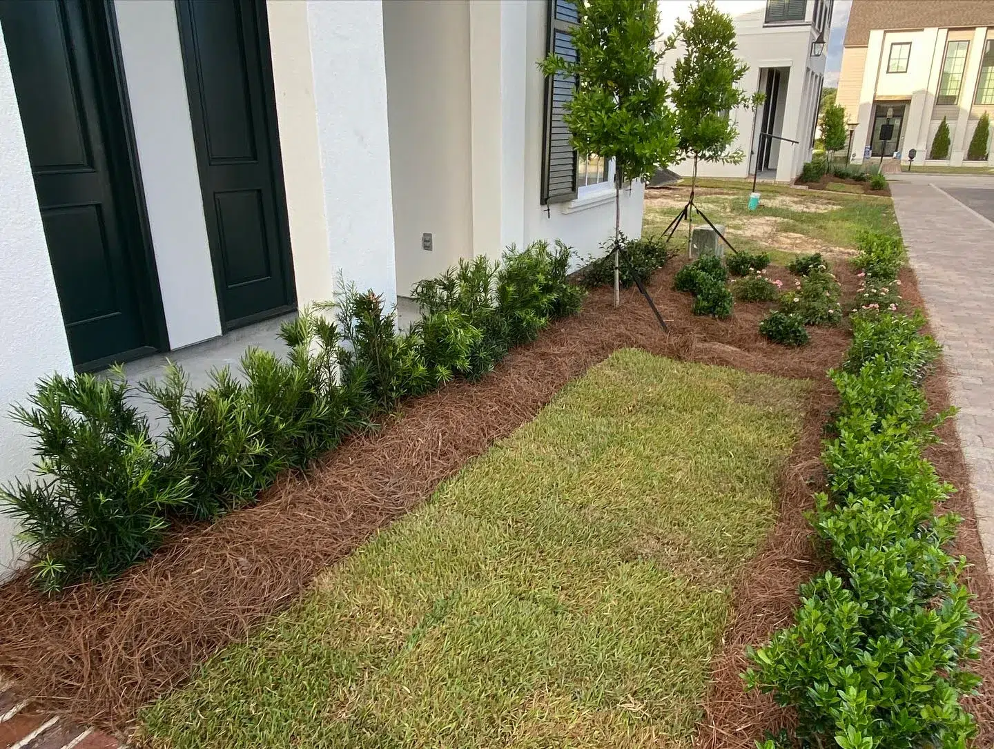 Why Choose All Seasons Landscaping & Lawn Care_ Why Choose All Seasons Landscaping Lawn Care