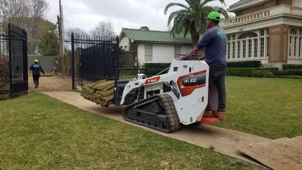 Why Seeding is a Necessary Step in a Complete Lawn Care Program in St. George, LA Why Seeding is a Necessary Step in a Complete Lawn Care Program in St. George, LA