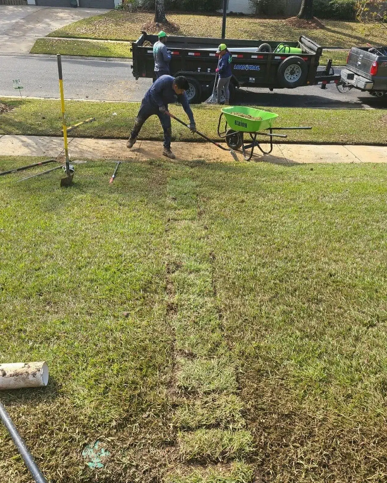Why Seeding is a Necessary Step in a Complete Lawn Care Program in St. George, LA Why Seeding is a Necessary Step in a Complete Lawn Care Program in St. George, LA