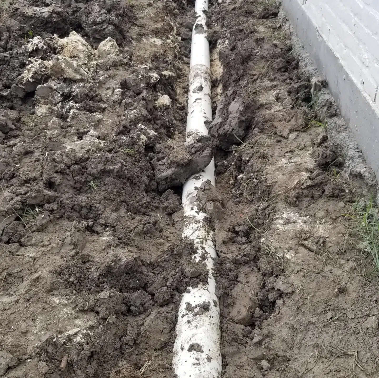 5 Common Lawn Issues Caused by Poor Drainage Services in Baton Rouge, LA 5 Common Lawn Issues Caused by Poor Drainage Services in Baton Rouge, LA