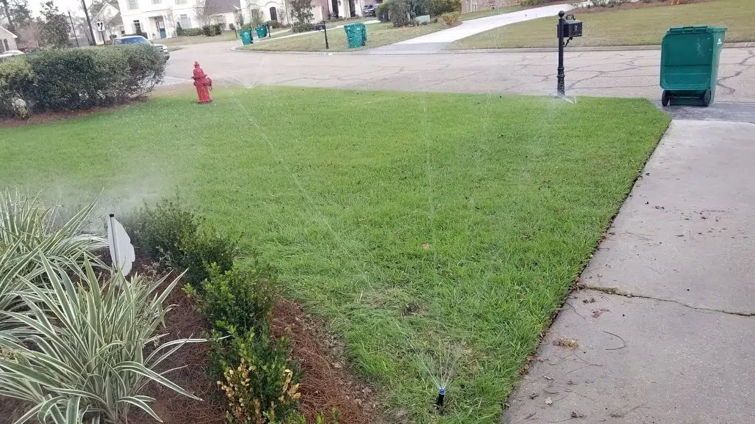 How Irrigation Systems Help Homeowners Avoid Overwatering Shrubs in Old Jefferson, LA How Irrigation Systems Help Homeowners Avoid Overwatering Shrubs in Old Jefferson, LA