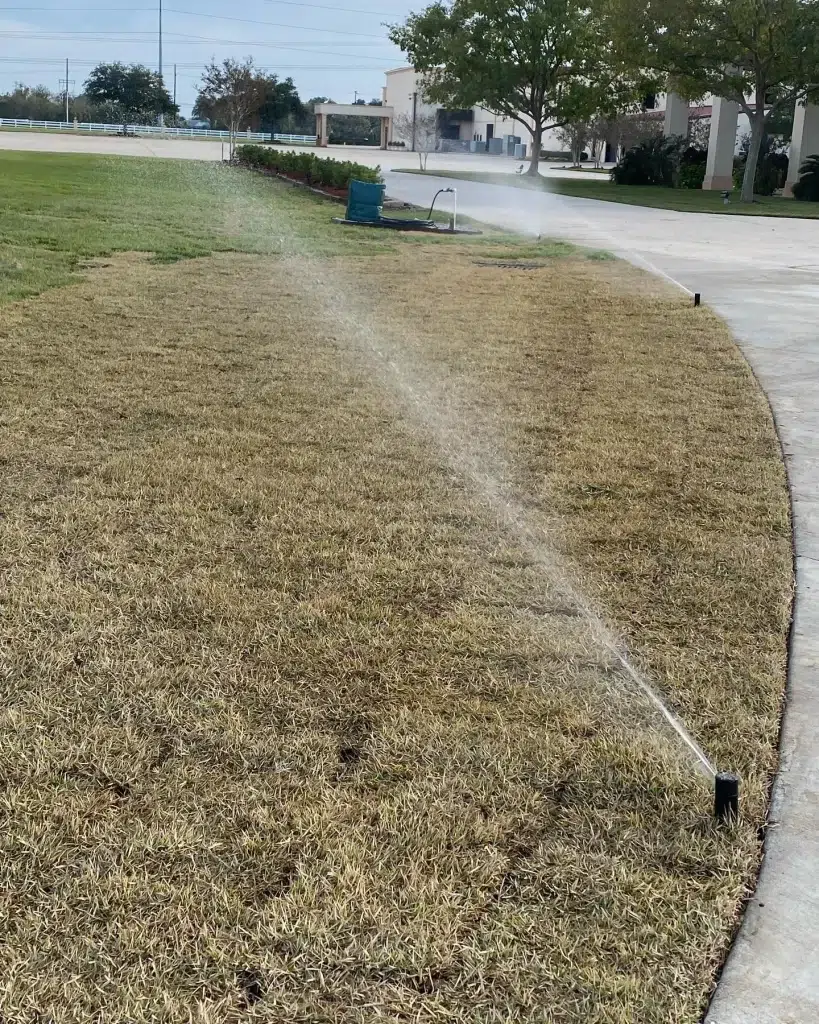 How Irrigation Systems Improve Curb Appeal Without Extra Work How Irrigation Systems Improve Curb Appeal Without Extra Work