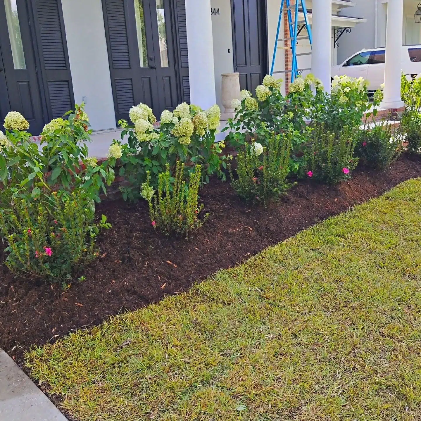 How to Fix Bad Landscaping in St. George, LA_ How to Fix Bad Landscaping in St. George, LA