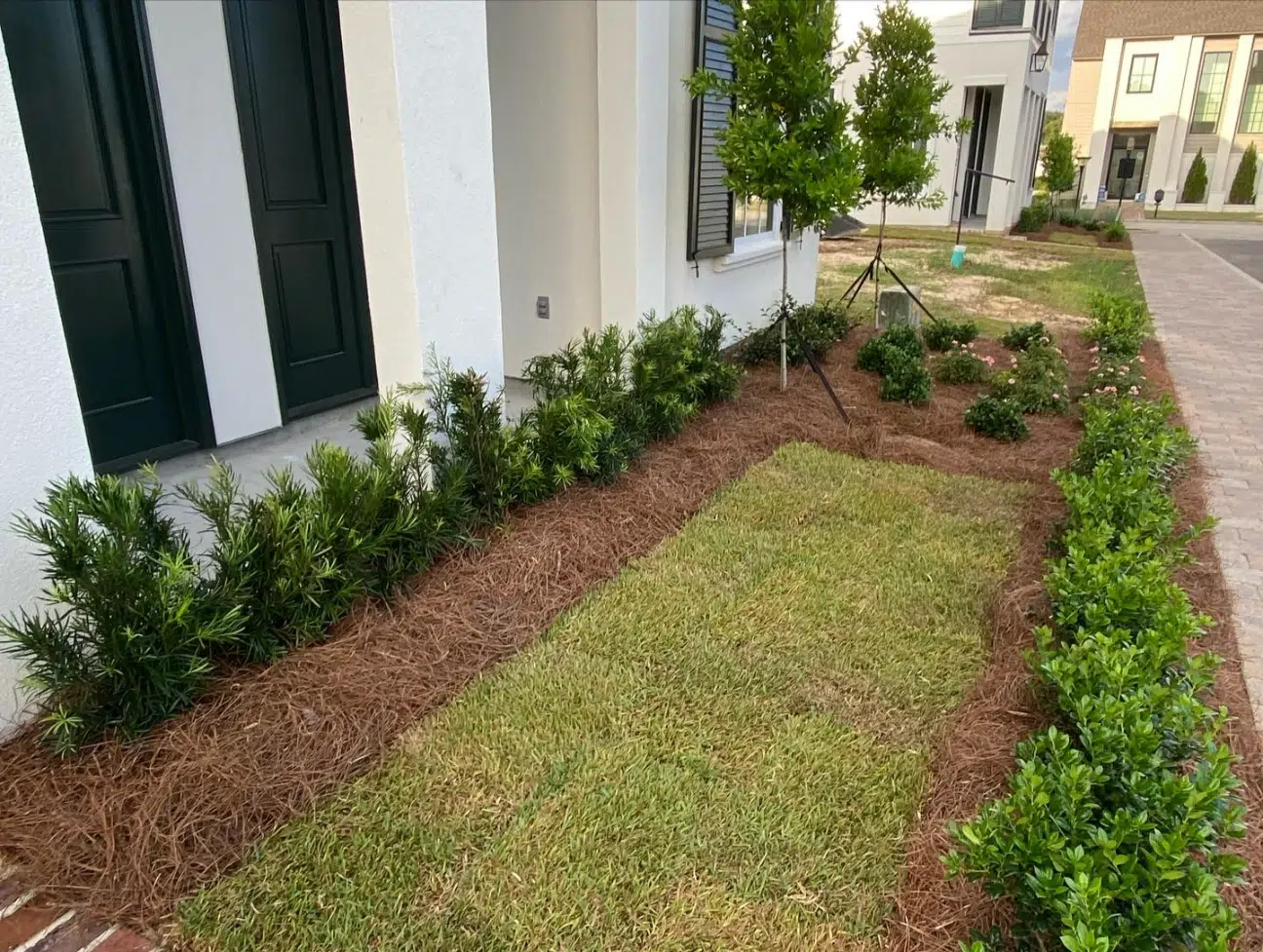 Professional Landscaping Lawn Care Contractor in Geismar LA