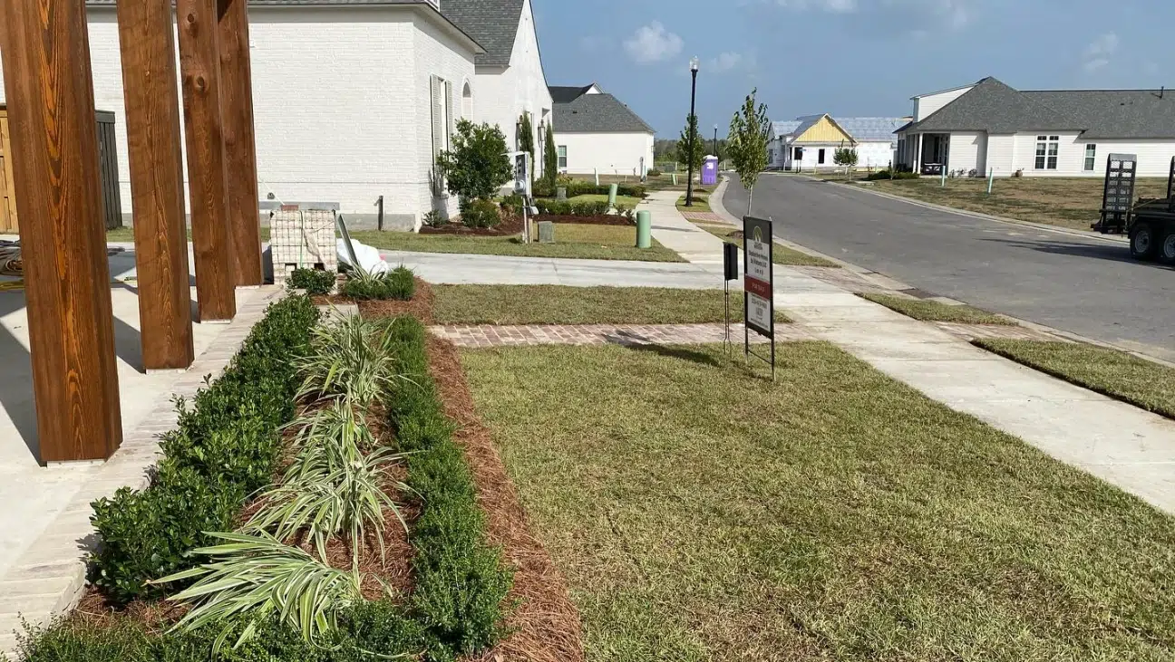 Trusted Landscaping Lawn Care Service in Sorrento LA