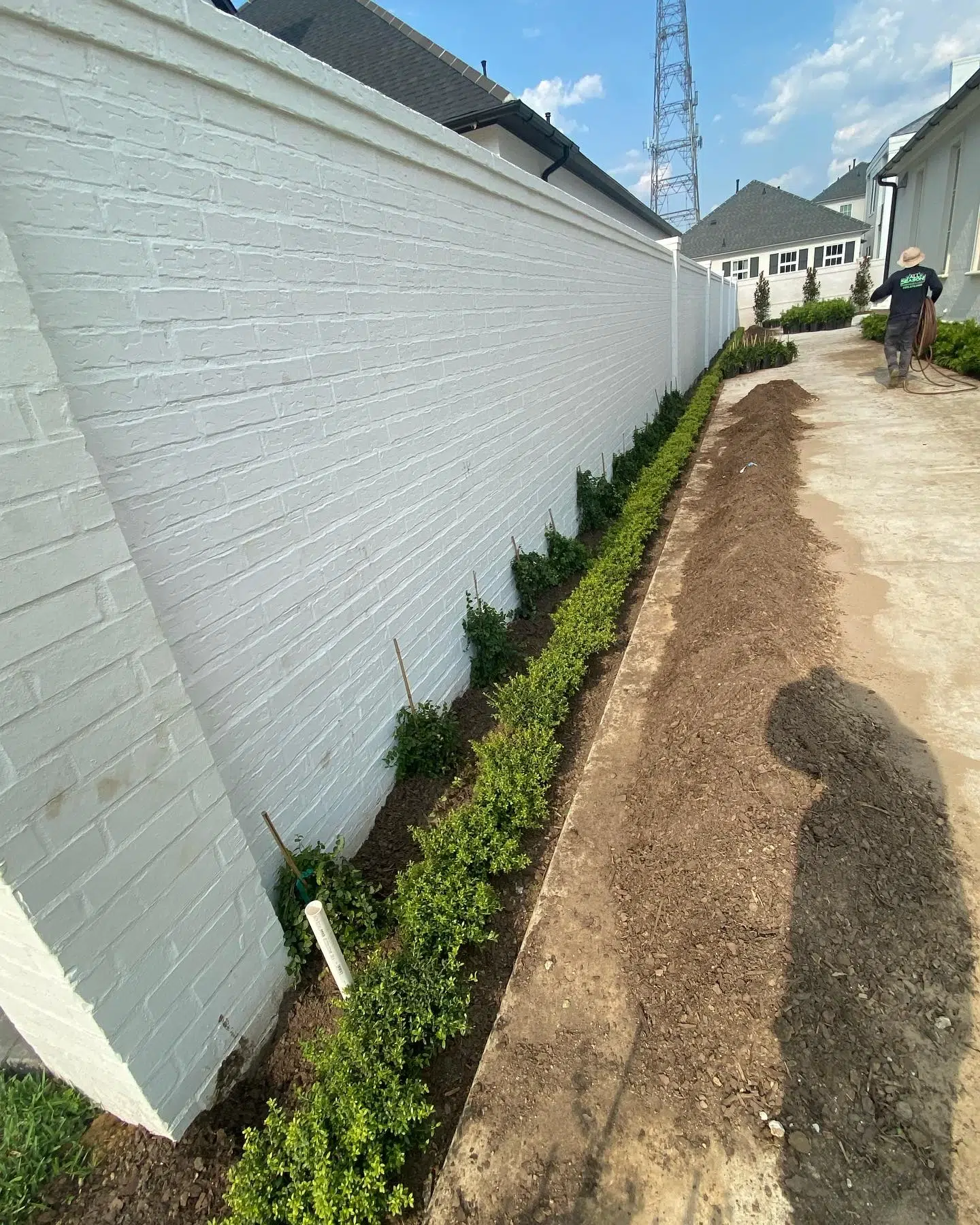 A Complete Guide to Tree Planting for Homeowners Planning Long-Term Landscape Growt- A Complete Guide to Tree Planting for Homeowners Planning Long-Term Landscape Growth